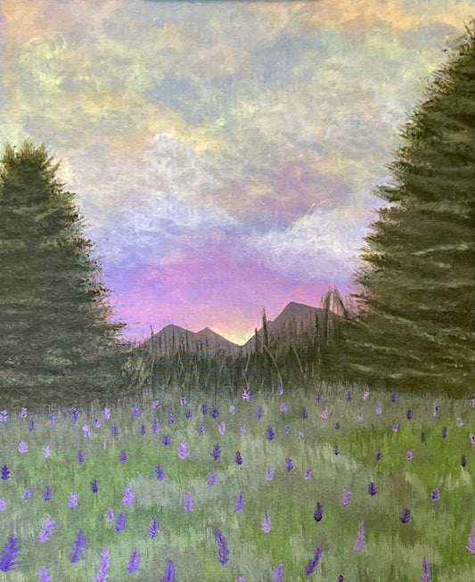 "Serene Solitude"